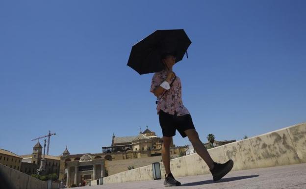 Las temperaturas máximas en España: dónde golpea más la ola de calor, según Aemet