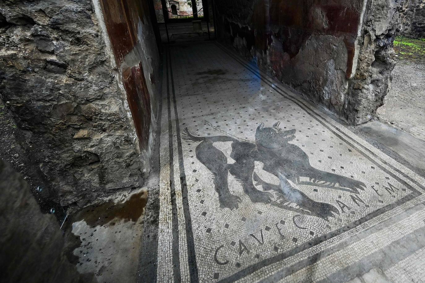 Fotos: Pompeya descubre sus nuevos tesoros