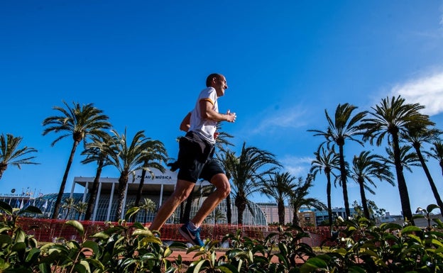 El 'Circuit 5K Jardí del Turia' cuenta con 5.731 metros de un especial trazado para corredores y la práctica del running. 