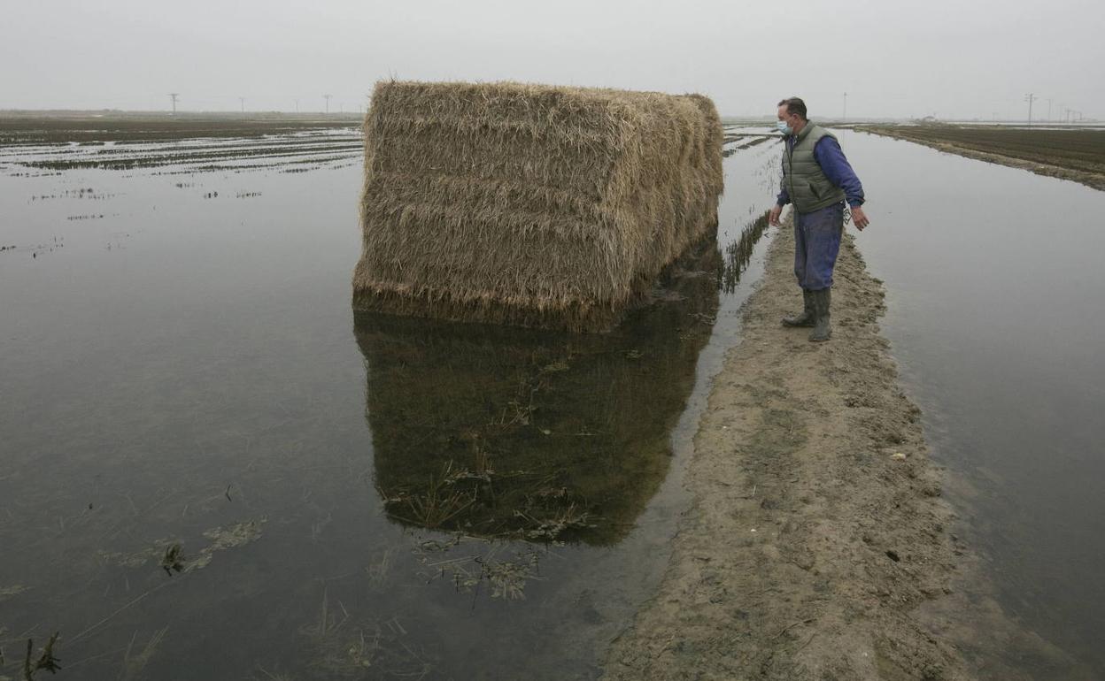 Un agricultor junto a una bala de paja del arroz. 