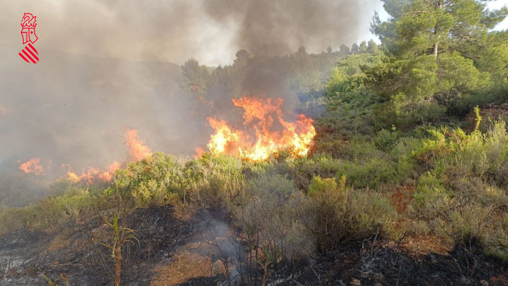 Fotos: Declarado un incendio en Viver y Caudiel