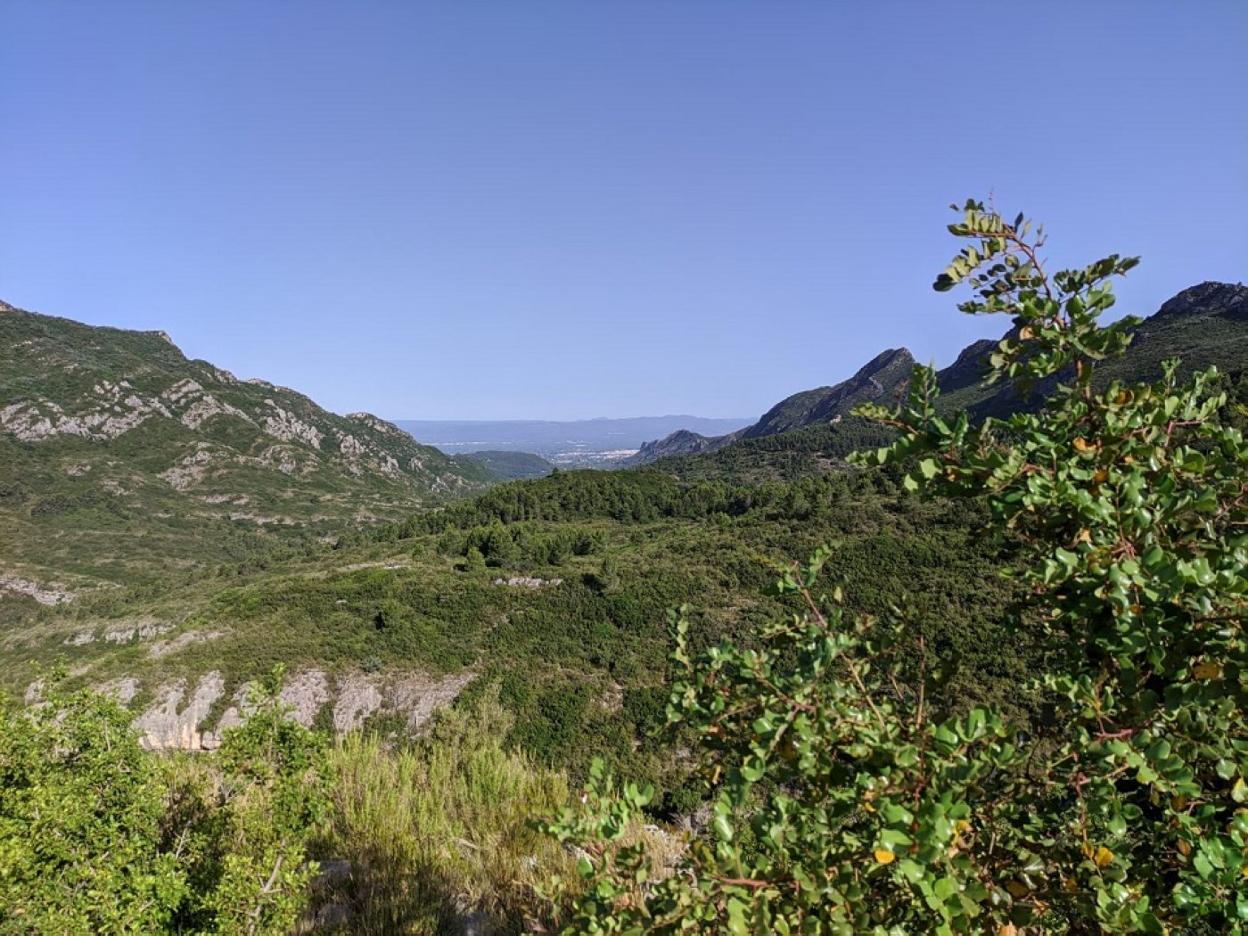 Paraje natural de la Casella en Alzira. A. Talavera