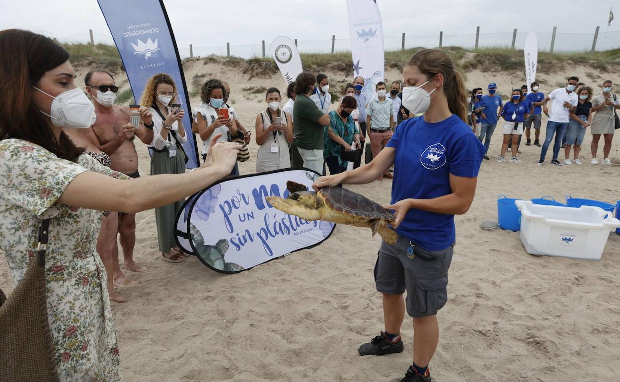 Un trabajador de l'OCeanogràfic con un ejemplar. 