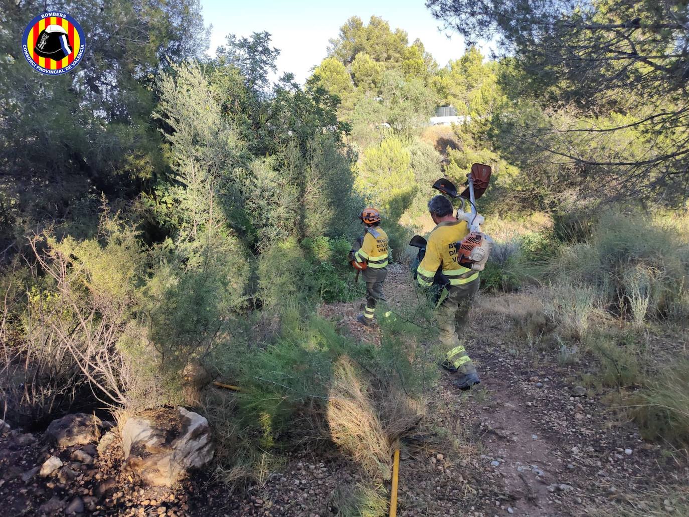 Fotos: Un incendio forestal obliga a evacuar a vecinos en Riba-roja de Túria