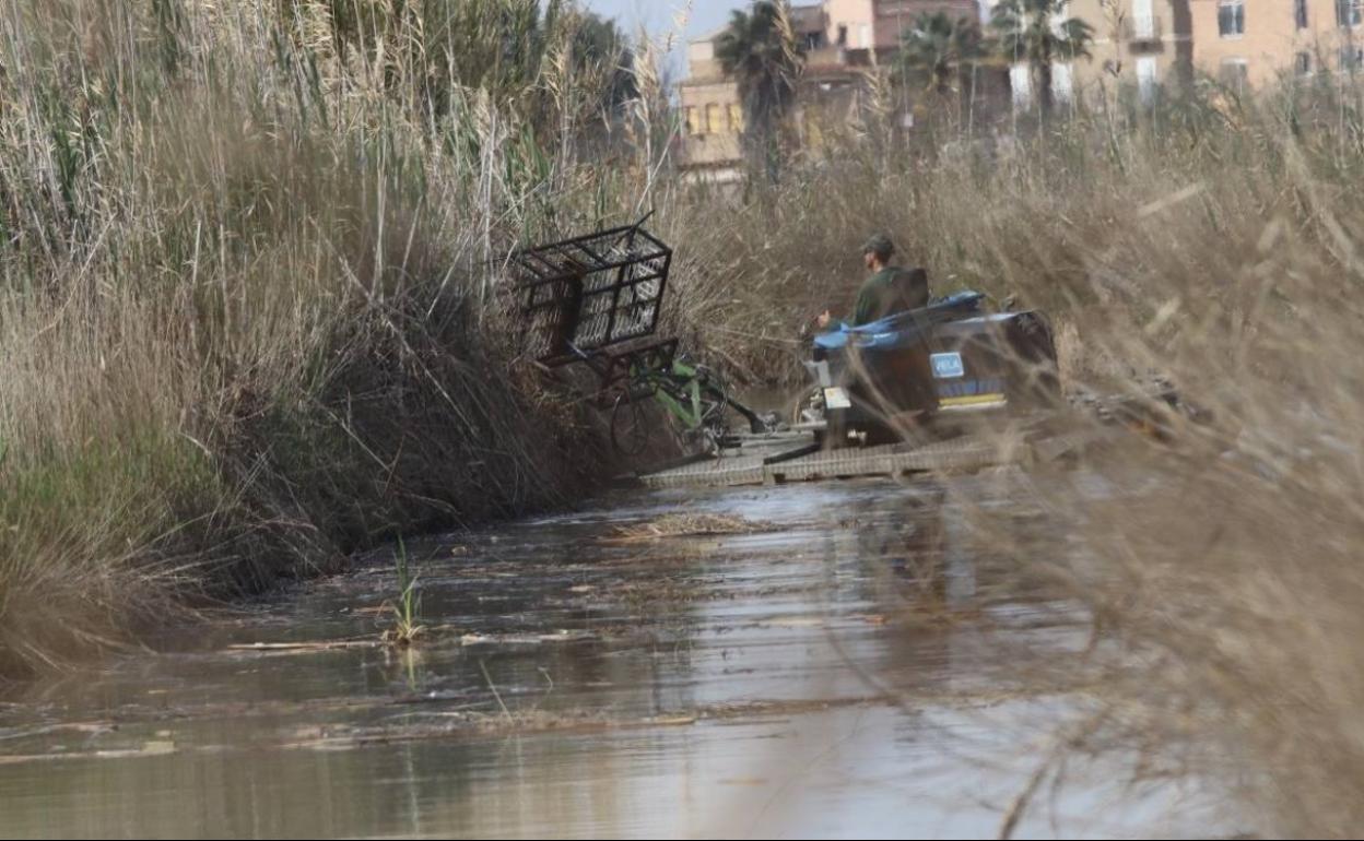 Dragado en un canal de la Albufera. 