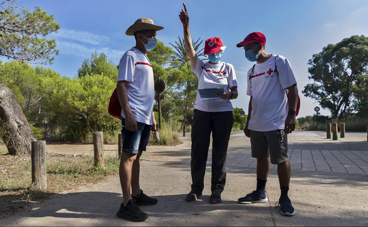 Voluntarios de Cruz Roja en la Devesa de El Saler. 