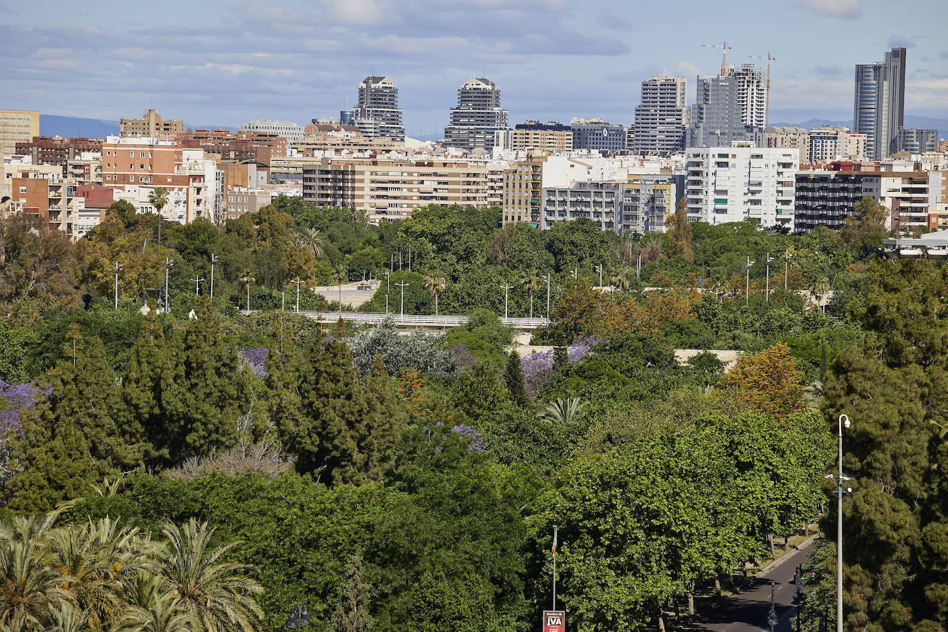 El  Turia, donde en estos 35 años se ha consolidado una vegetación que ha permitido  considerar el antiguo cauce como la zona verde más importante de la ciudad.