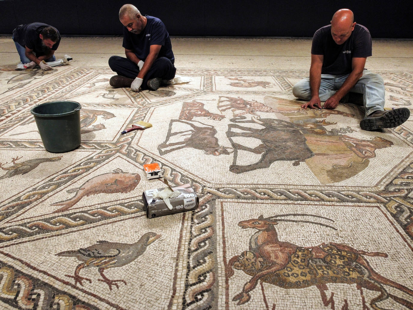 Fotos: Un excepcional mosaico de 1.700 años de antigüedad se expone al público desde esta semana