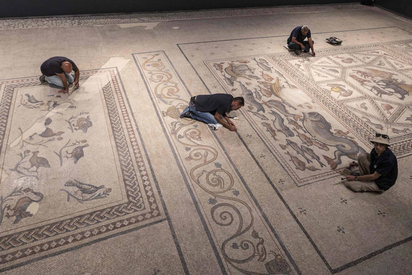 Fotos: Un excepcional mosaico de 1.700 años de antigüedad se expone al público desde esta semana