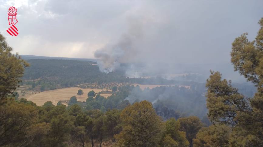 Fotos: Incendio forestal en Venta del Moro