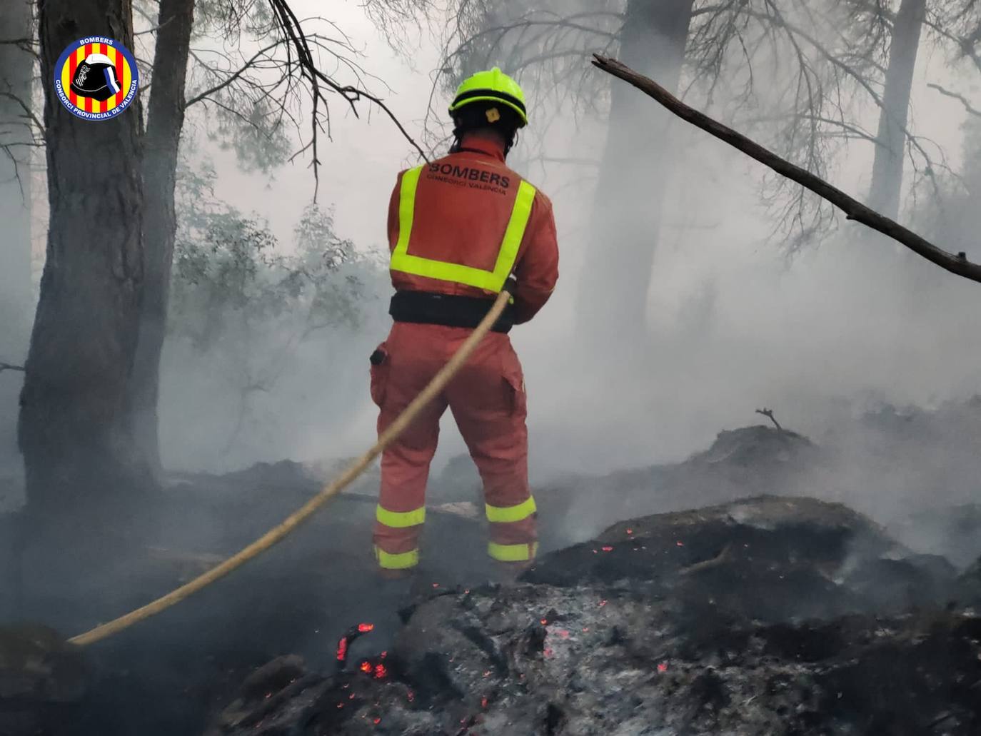 Fotos: Incendio forestal en Venta del Moro