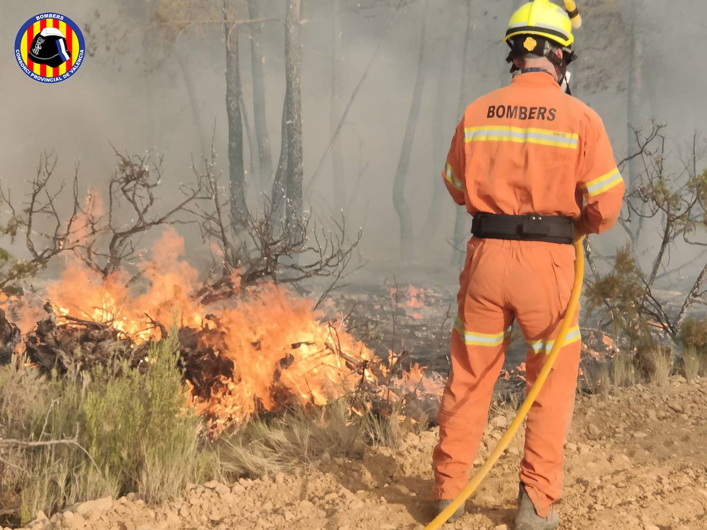 Fotos: Los bomberos luchan contra el fuego en el incendio de Venta del Moro