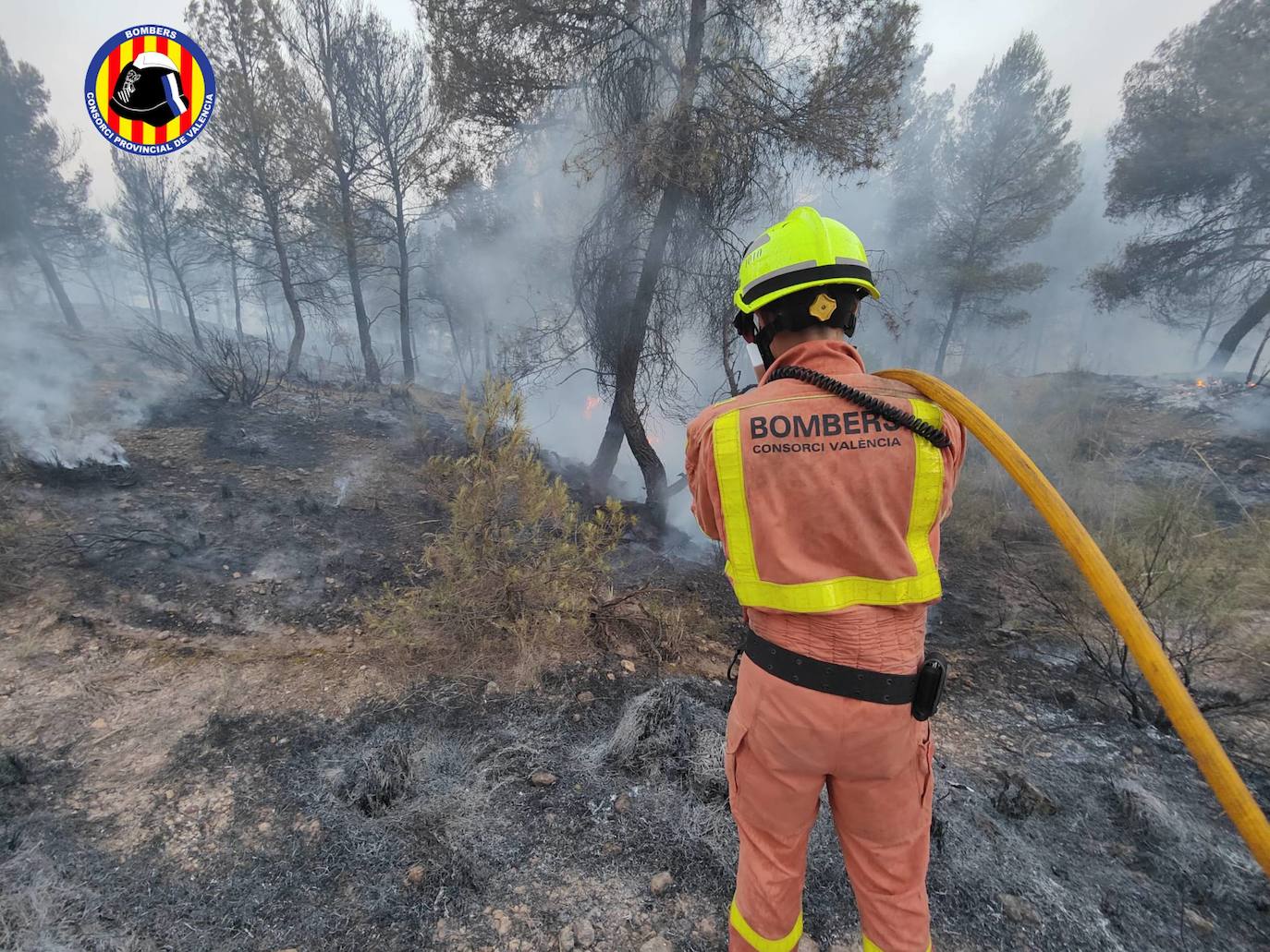 Fotos: Los bomberos luchan contra el fuego en el incendio de Venta del Moro