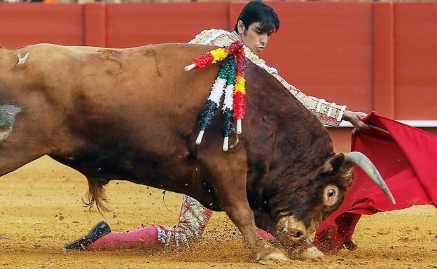 LAS PROVINCIAS sortea entradas para los toros de la Feria de Julio