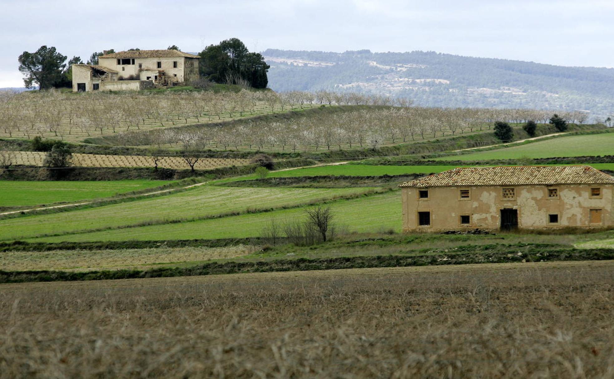 Paisaje de la Toscana valenciana. 