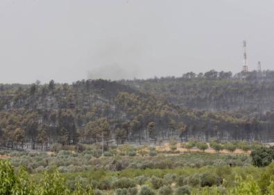 Imagen secundaria 1 - Última hora del incendio de Venta del Moro | Los bomberos frenan el fuego en Venta del Moro pero no lo estabilizan