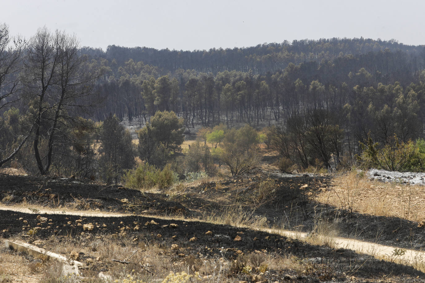 Fotos: Los efectos del incendio de Venta del Moro