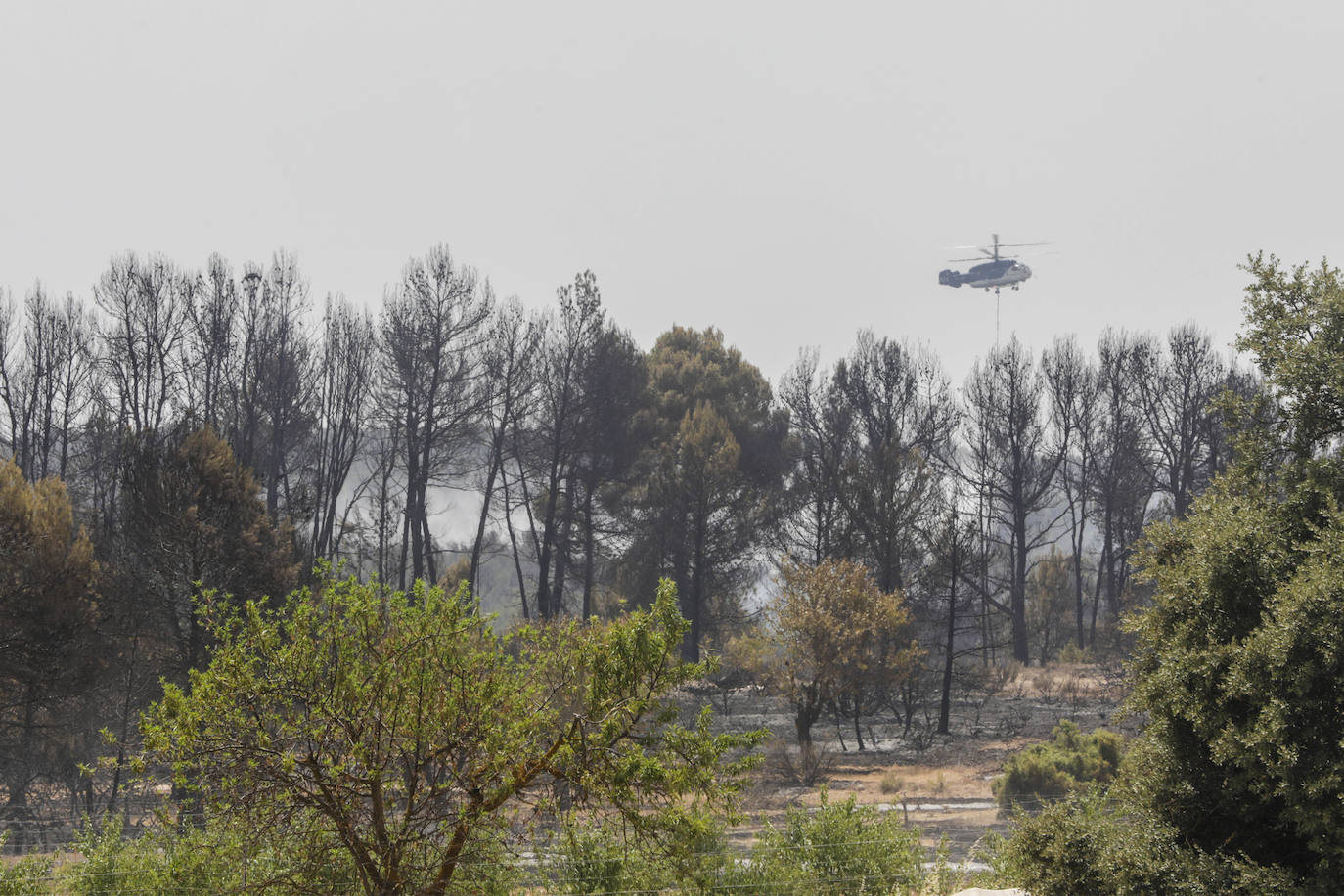 Fotos: Los efectos del incendio de Venta del Moro