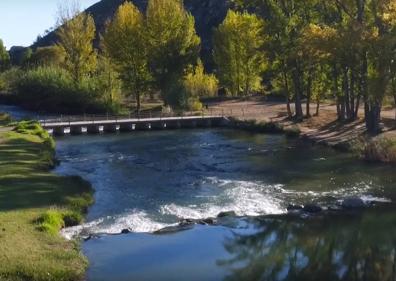 Imagen secundaria 1 - Sus aguas son naturales y conservan a su alrededor variada flora, entre estas se destacan sus grandes sauces llorones.