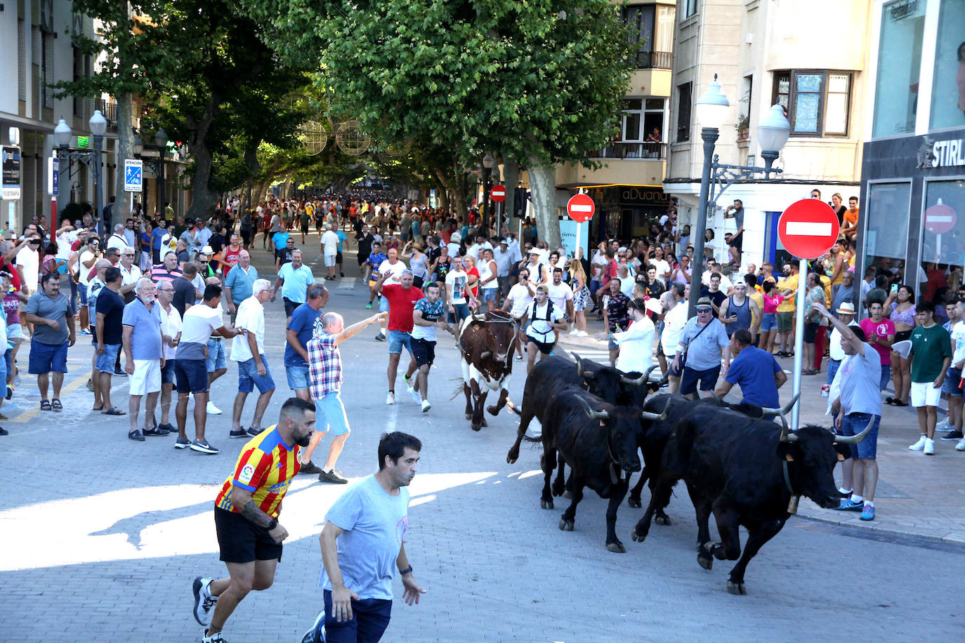 Fotos: Bous a la Mar en Dénia