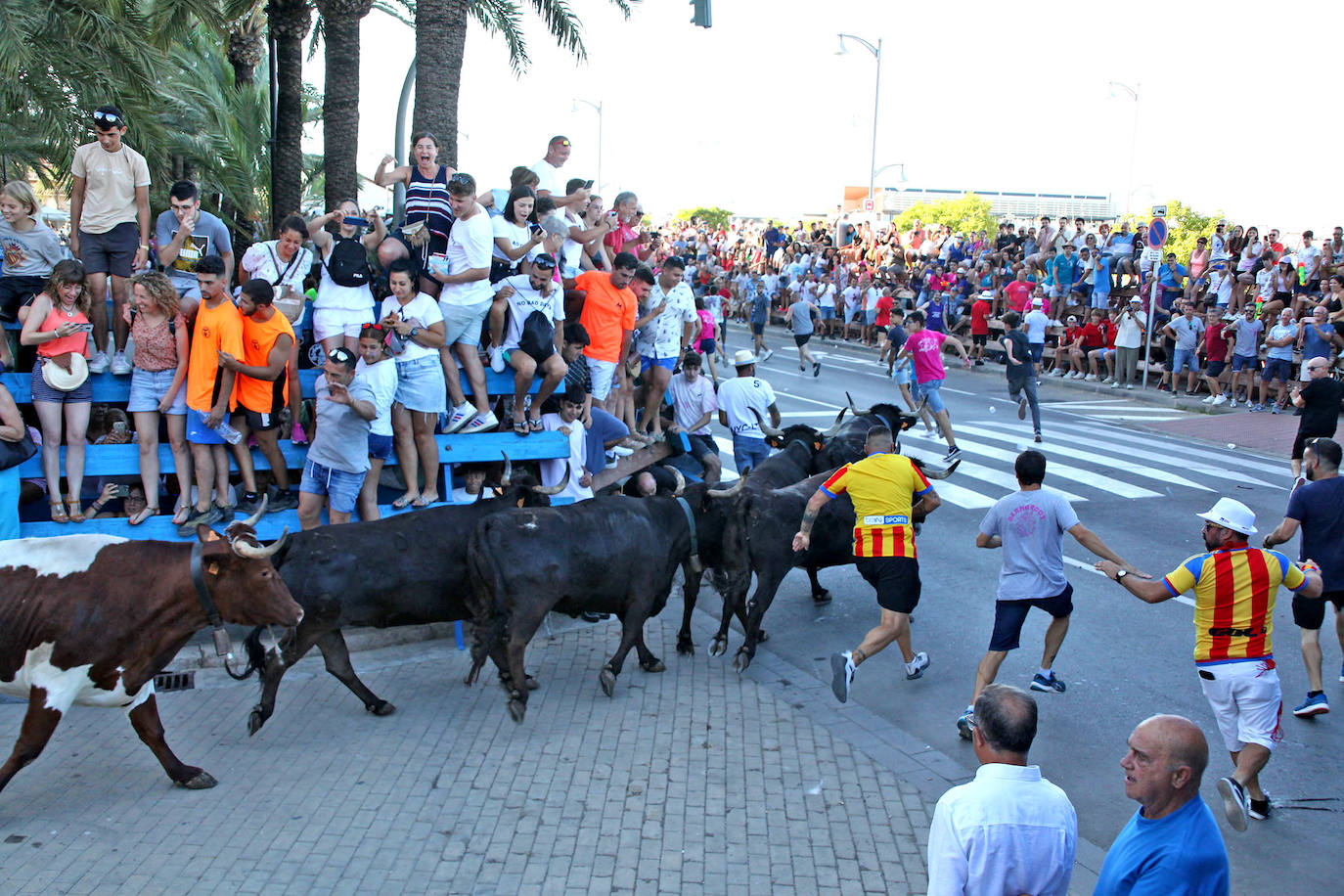 Fotos: Bous a la Mar en Dénia