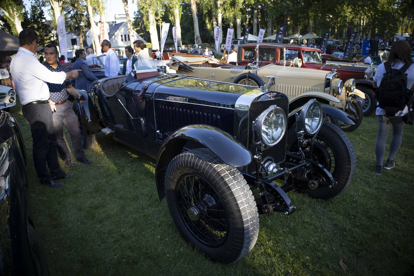 Fotos: El mejor jardín de automóviles de Europa