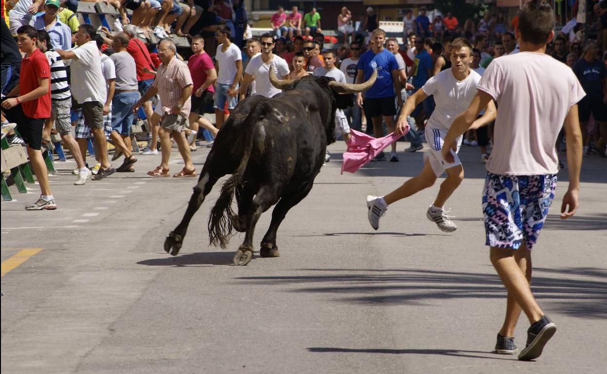 Bous al carrer, en una imagen de archivo.