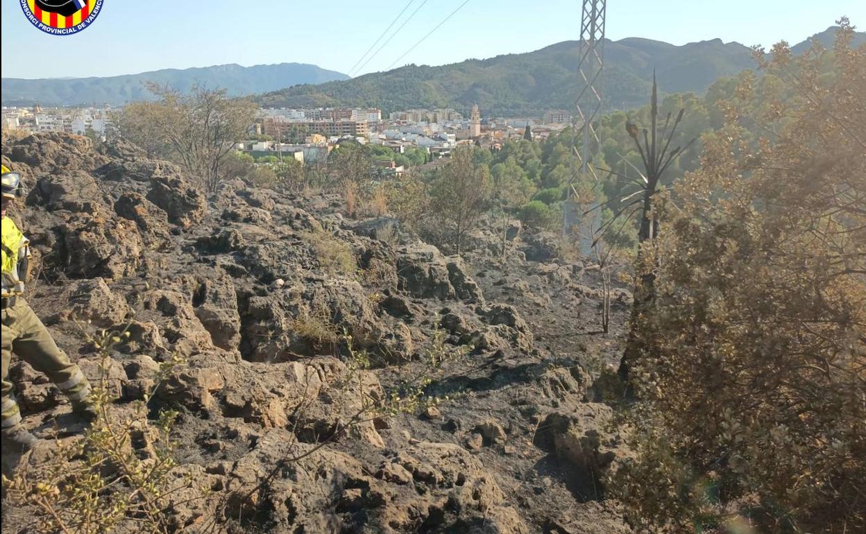 Incendio Gandia | Bomberos trabajan en la extinción de un incendio forestal en Gandia