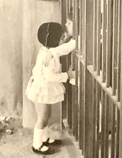 Fotos: Un hogar en Mestalla