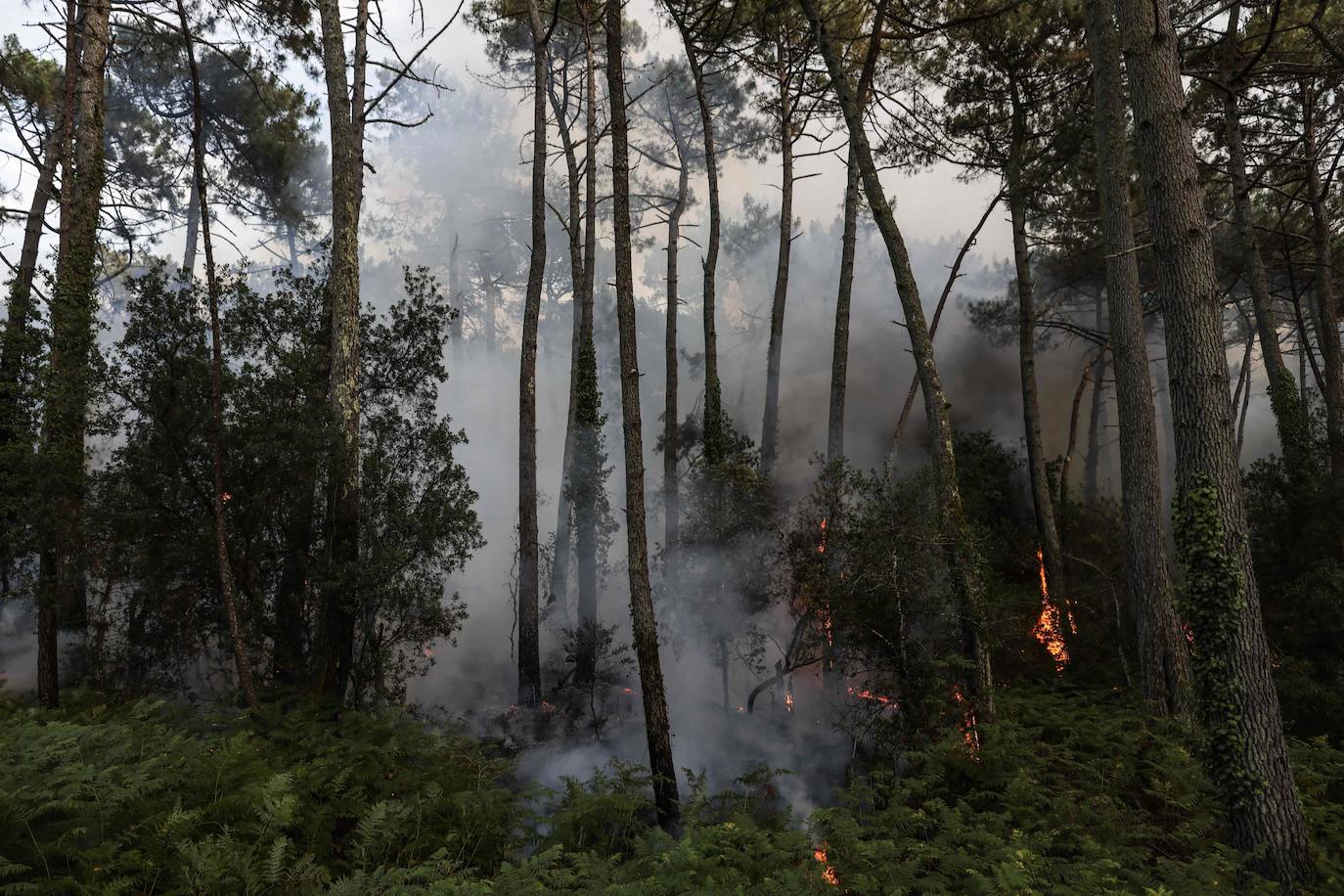 La duna de Pilat, cerca de Burdeos, es un reclamo turístico y está muy cerca de Arcachon y y de Cap de Ferrer