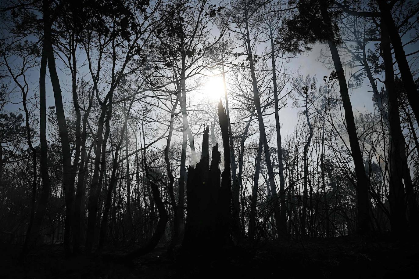 La duna de Pilat, cerca de Burdeos, es un reclamo turístico y está muy cerca de Arcachon y y de Cap de Ferrer