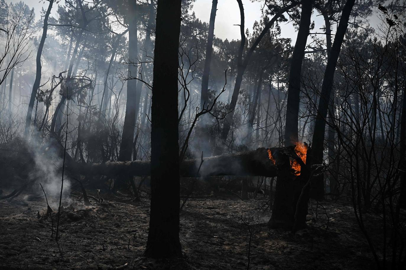 La duna de Pilat, cerca de Burdeos, es un reclamo turístico y está muy cerca de Arcachon y y de Cap de Ferrer