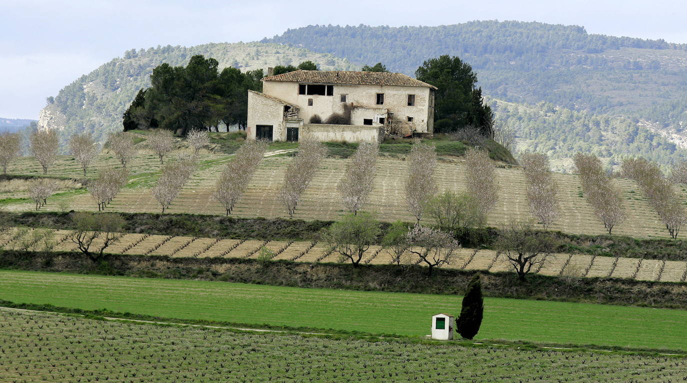 Fotos: La Toscana valenciana