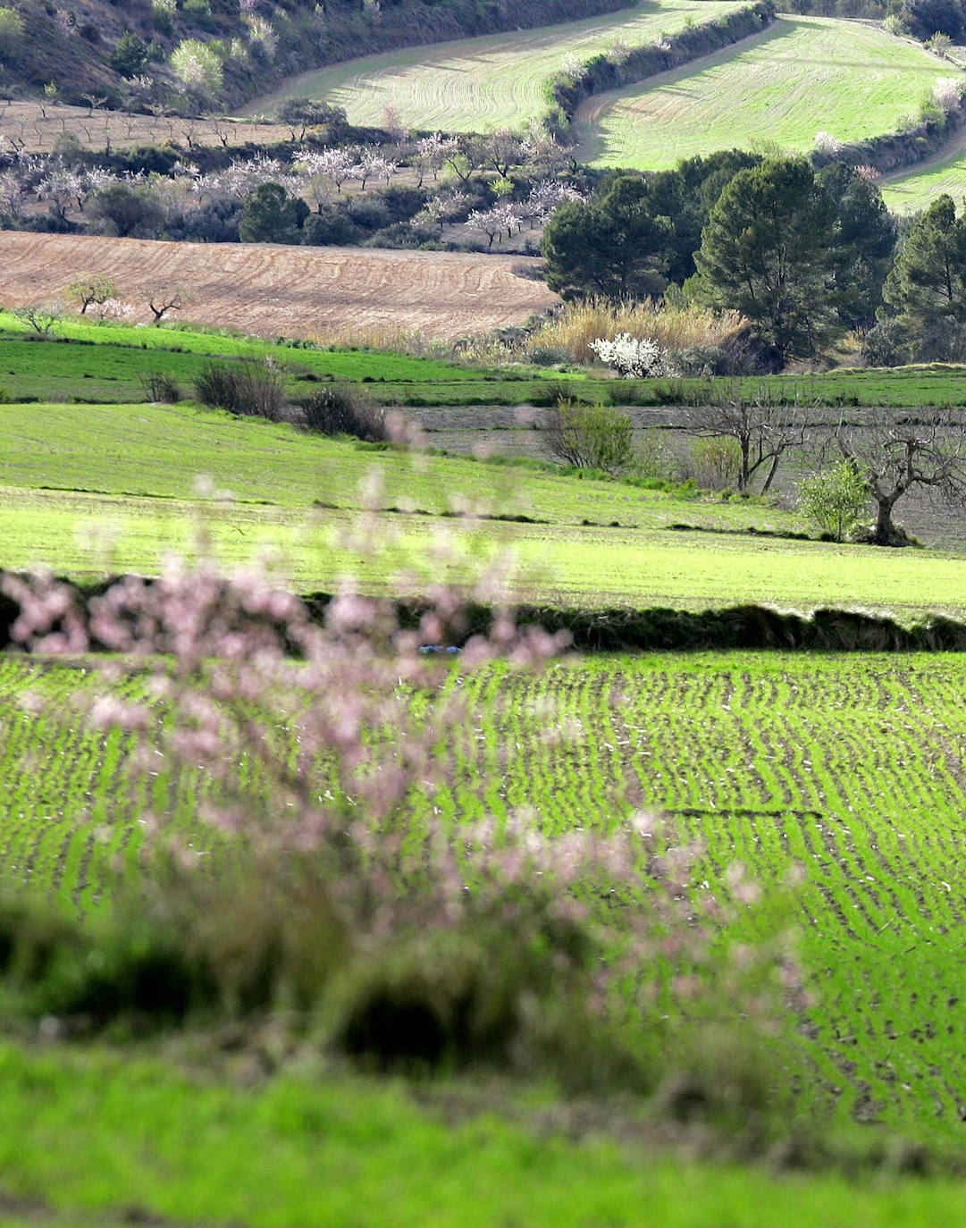 Fotos: La Toscana valenciana