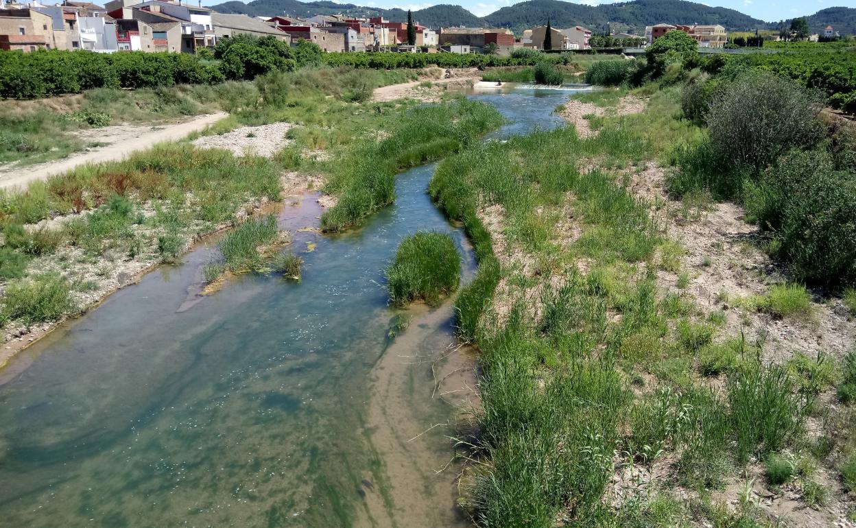 Río Sellent en Càrcer. 