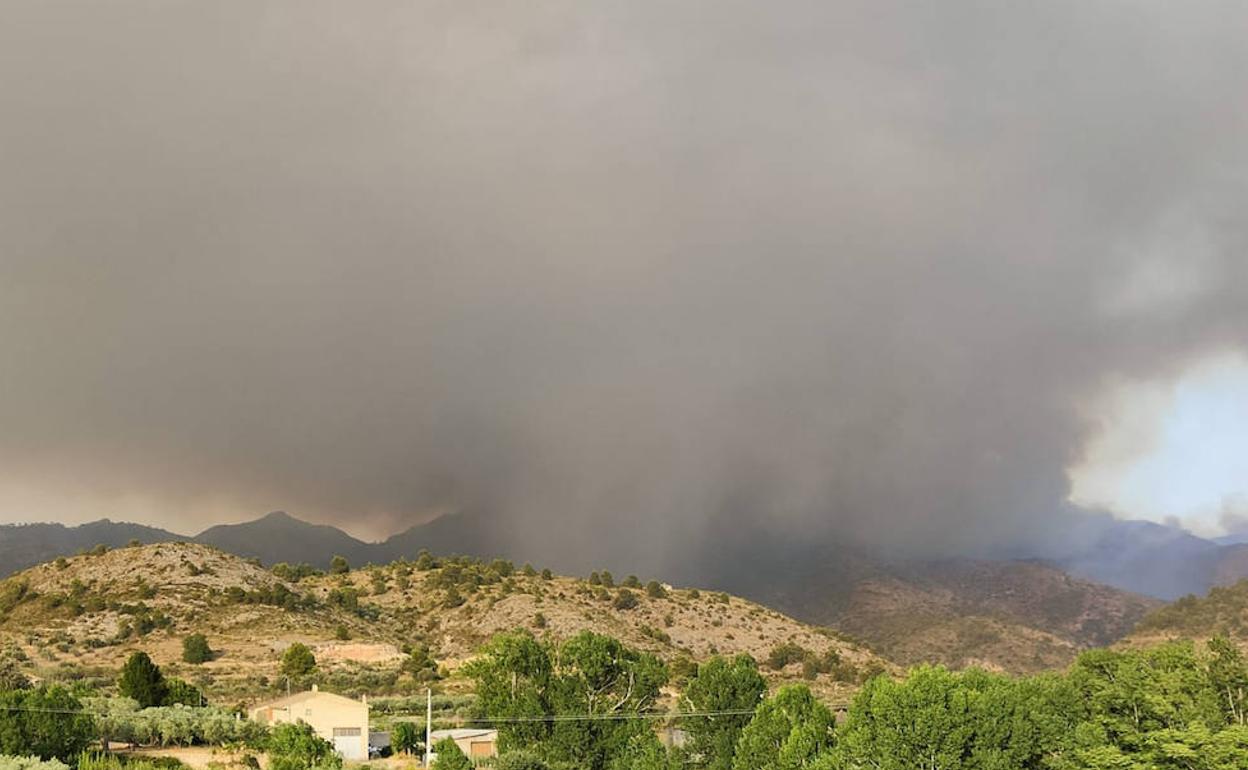 Incendio declarado en Calles. 