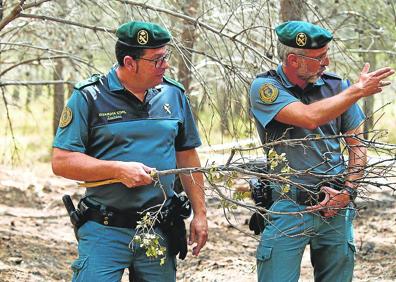Imagen secundaria 1 - Así es la labor de los agentes de la Guardia Civil durante la extinción de un fuego. 
