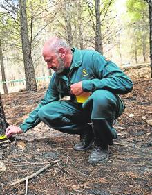 Imagen secundaria 2 - Así es la labor de los agentes de la Guardia Civil durante la extinción de un fuego. 