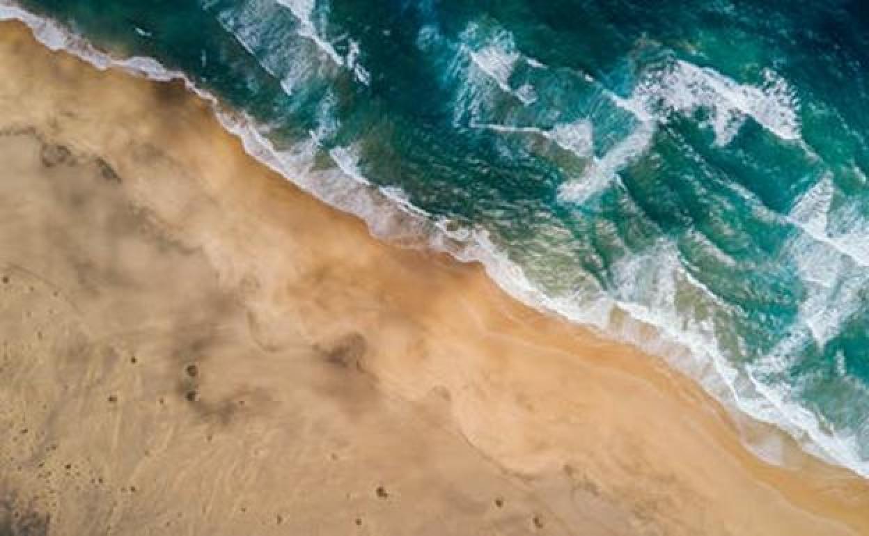 Medusas en las playas | Alertan de que una medusa gigante se acerca al Mediterráneo por el calentamiento del mar