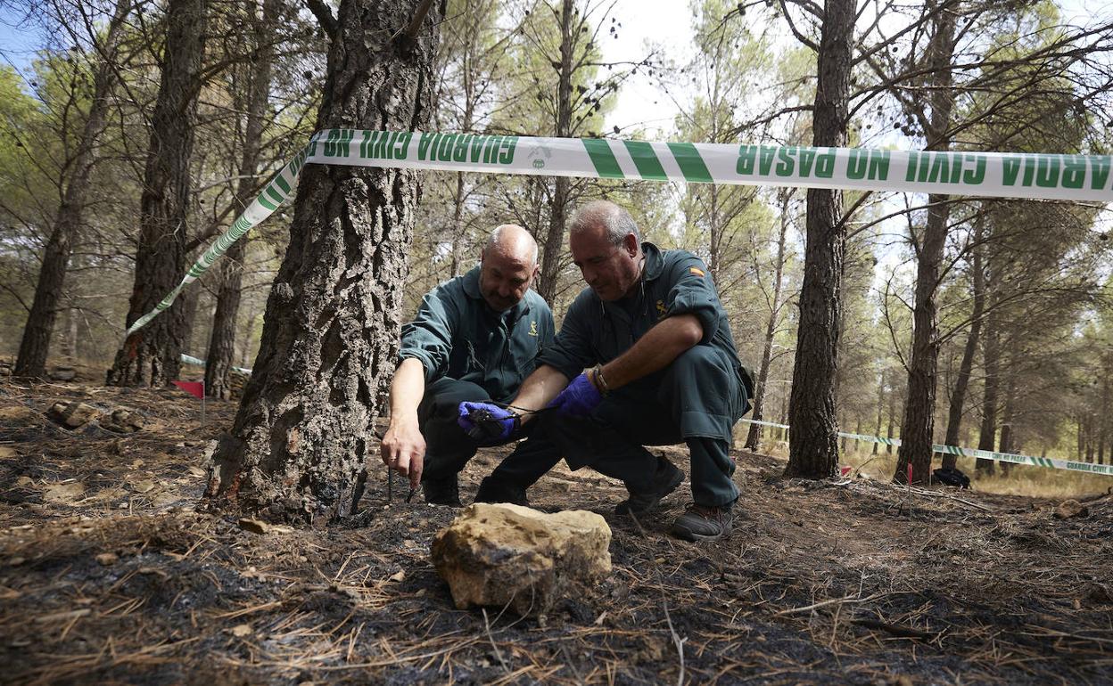 Dos agentes del SEPRONA fotografían el lugar en el que comenzó un incendio. 