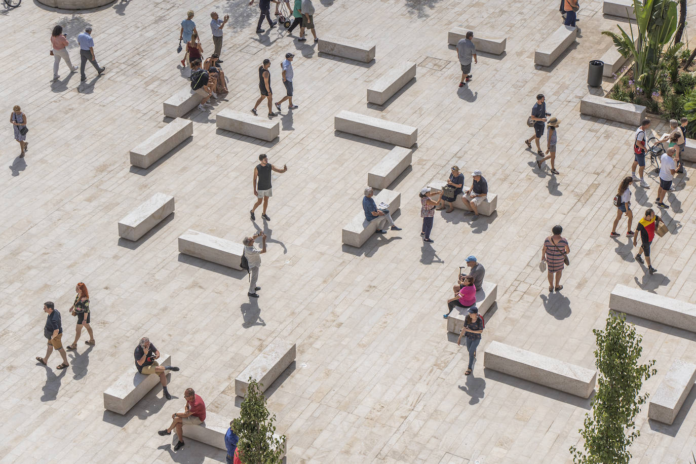 Fotos: Primer día de la Plaza de la Reina de Valencia con público tras la reforma