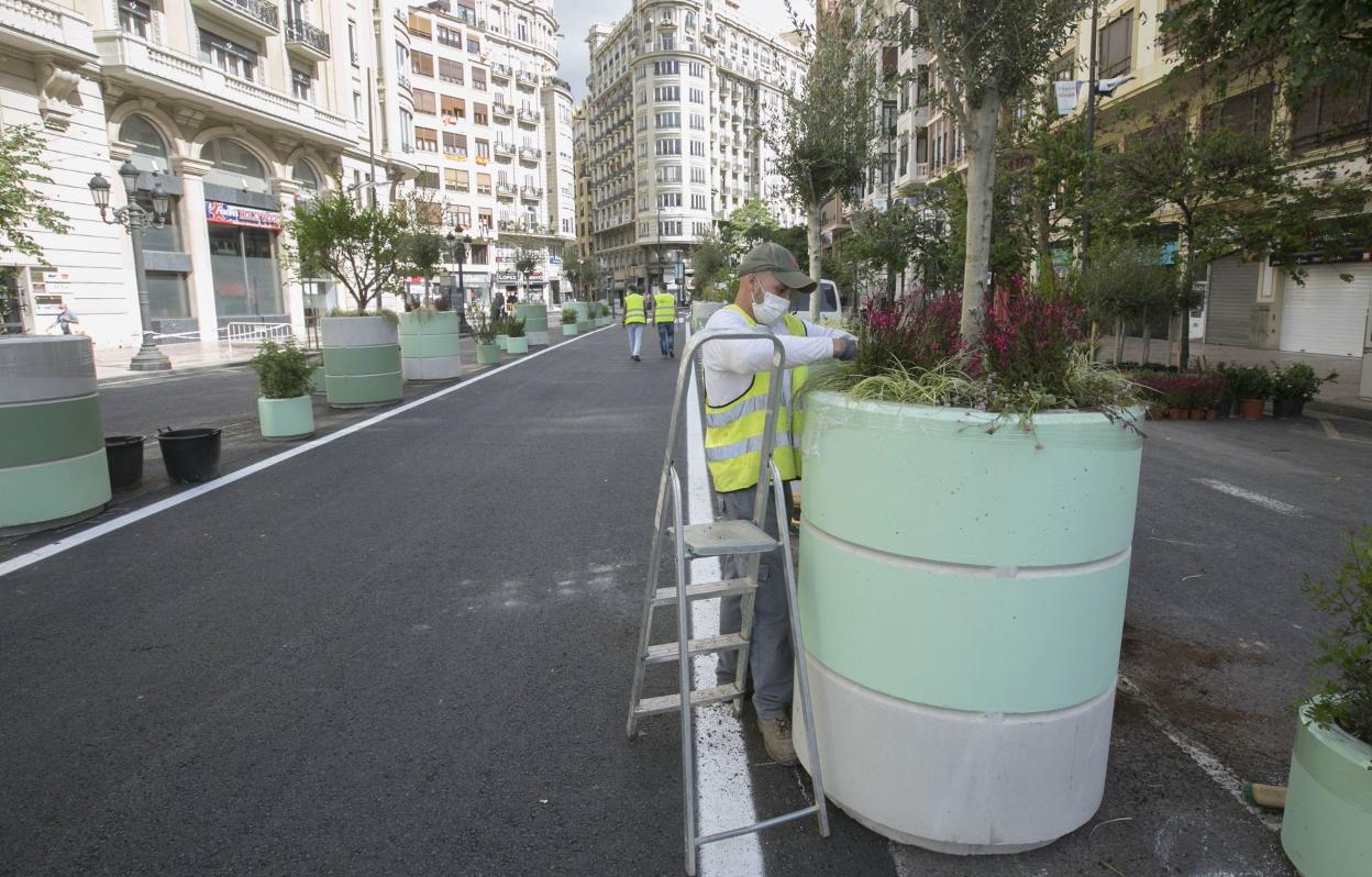 Un operario cuida la vegetación en uno de los maceteros de la plaza del Ayuntamiento. 