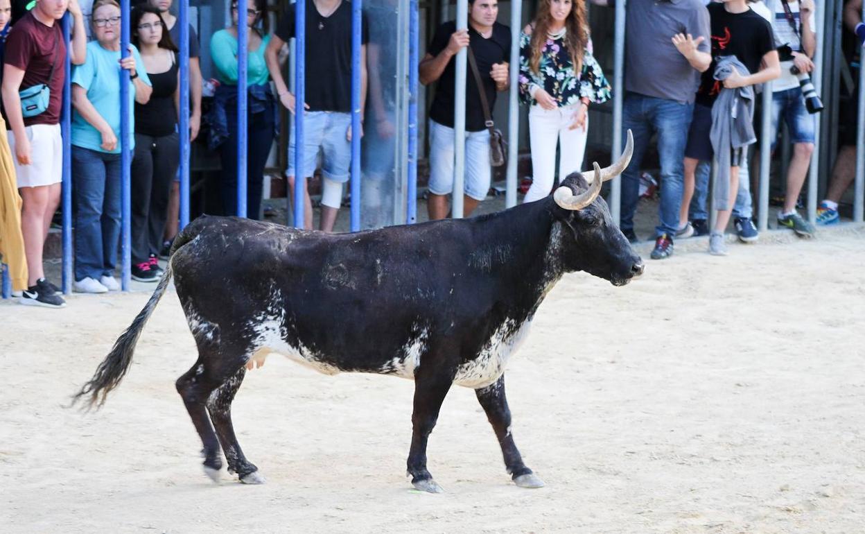 Vecinos de la Albereda de Bétera en pie de guerra contra la celebración de los bous al carrer