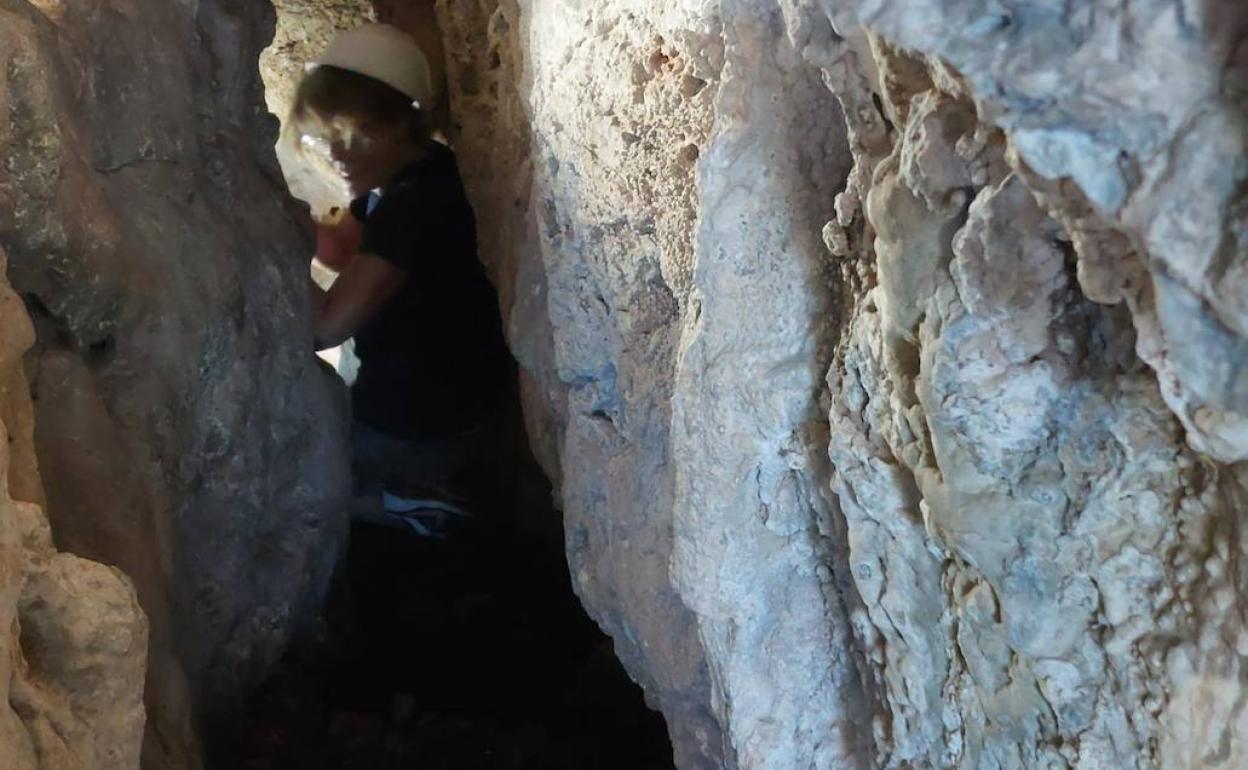 Un arqueólogo trabaja en una grieta de la Cova de l'Or. 