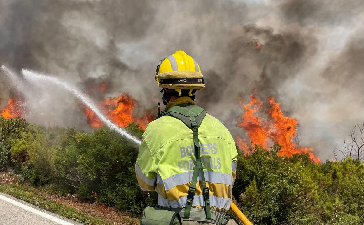 La UME se desplaza al incendio forestal en Useres. 