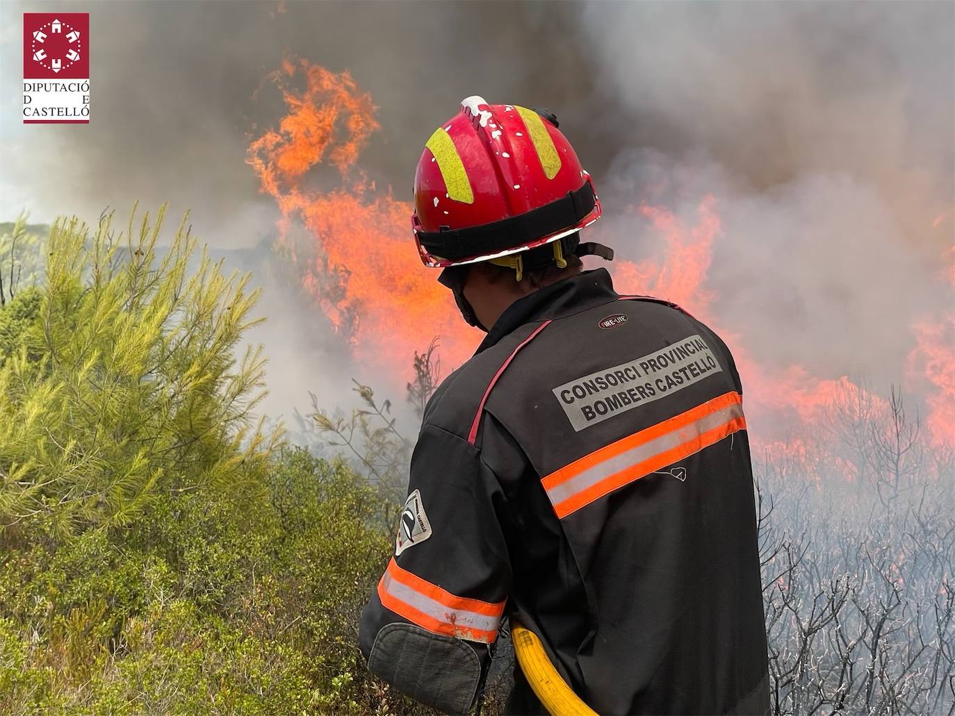 Fotos: Declarado un incendio forestal en Useres