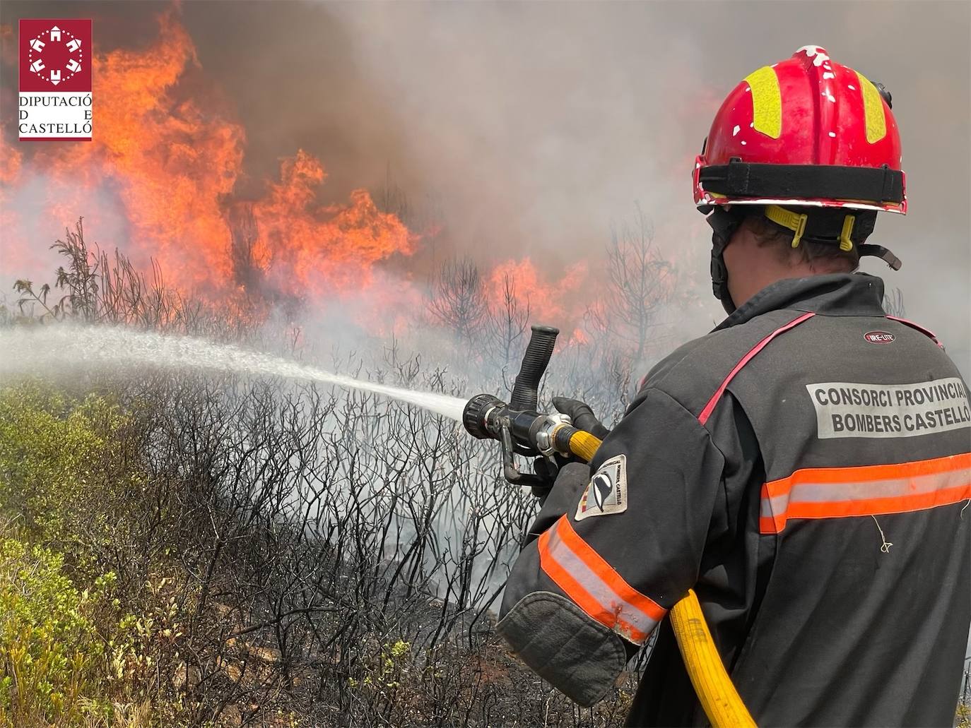 Fotos: Declarado un incendio forestal en Useres