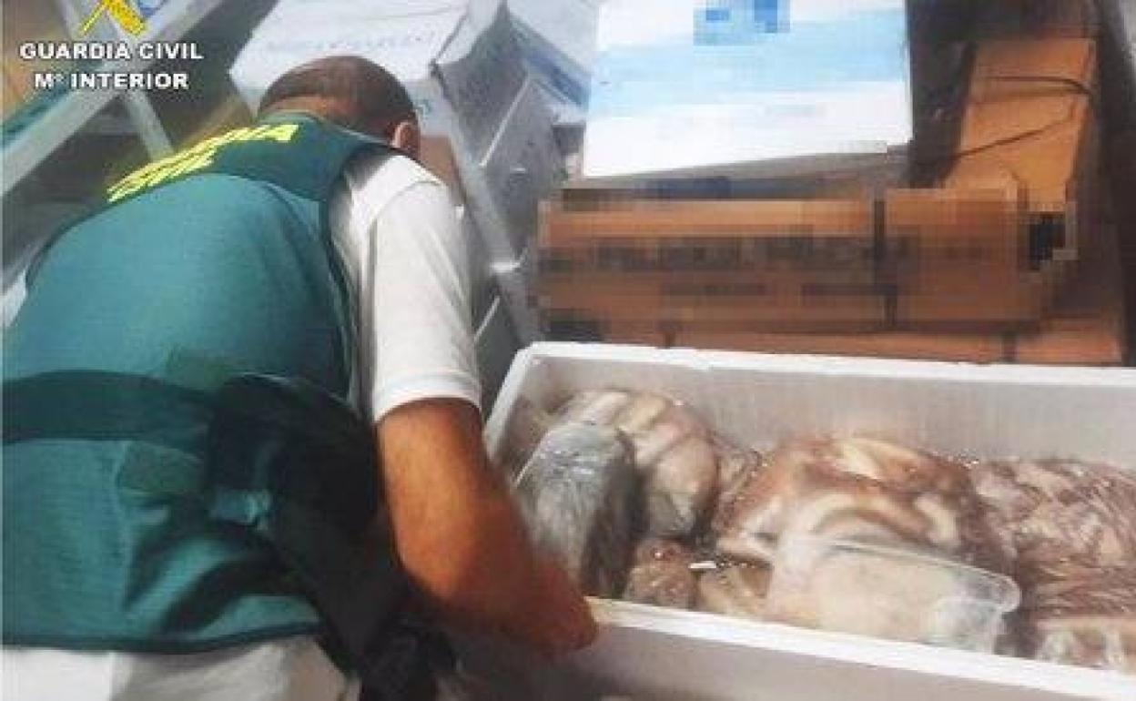 Una de las inspecciones llevadas a cabo en Alicante. 