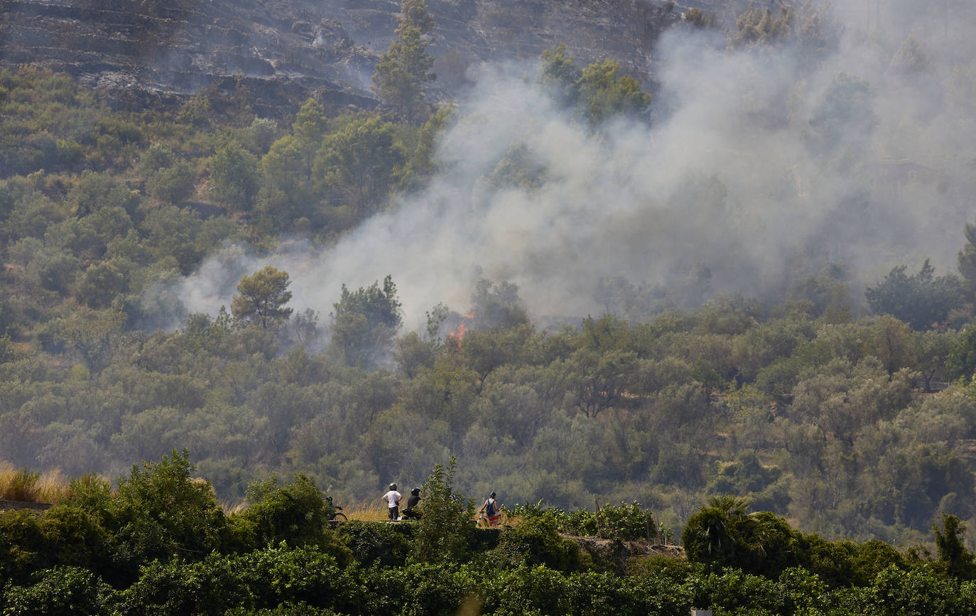 Fotos: Incendio en la Vall d&#039;Ebo