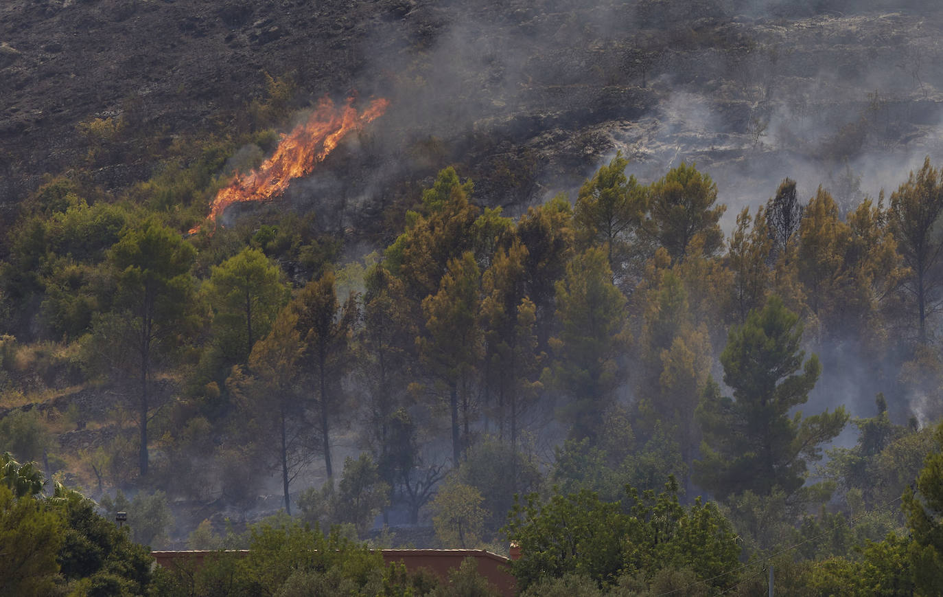 Fotos: Incendio en la Vall d&#039;Ebo